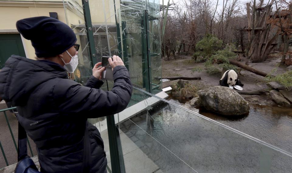 A visitor with a mask observes a big panda in an enclosure at the Schoenbrunn Zoo in Vienna, Austria, Monday, Feb. 8, 2021. Visitors can visit the zoo again after 97 days lock down. The Austrian government has moved to restrict freedom of movement for people, in an effort to slow the onset of the COVID-19 coronavirus. (AP Photo/Ronald Zak)