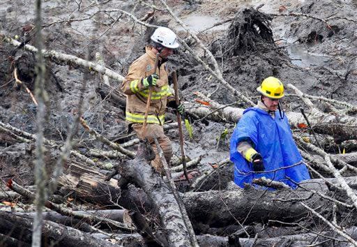 Firefighters navigate through downed trees as they carry shovels in the muck at the west side of the mudslide on Highway 530 near mile marker 37 on Sunday, March 30, 2014, in Arlington, Wash. Periods of rain and wind have hampered efforts the past two days, with some rain showers continuing today. (AP Photo/Rick Wilking, Pool)