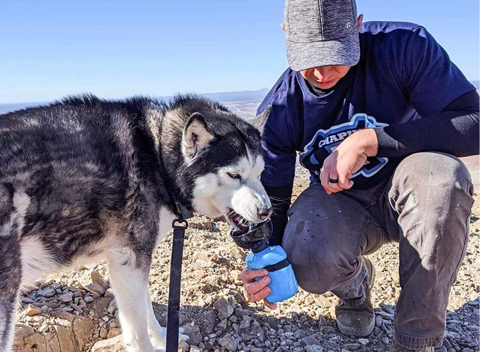 Keep your favorite canine hydrated with this handy travel water bottle. (Source: Amazon)