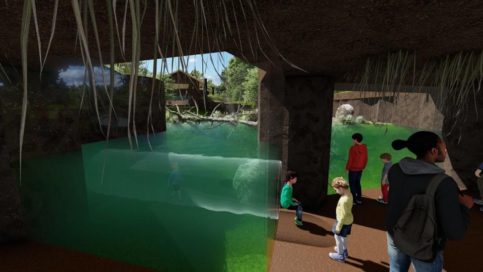 A rendering of the $12.1 million Wild Iowa exhibit, where a viewing tunnel extends into the otter pool.