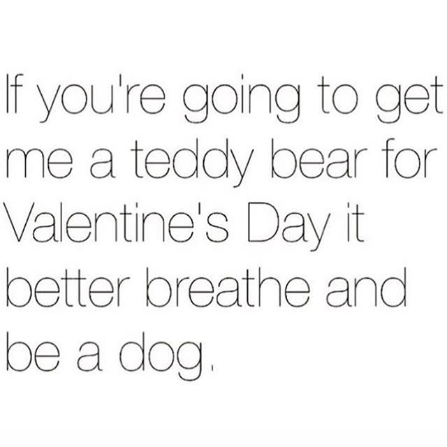 7) Puppies > Teddy Bears