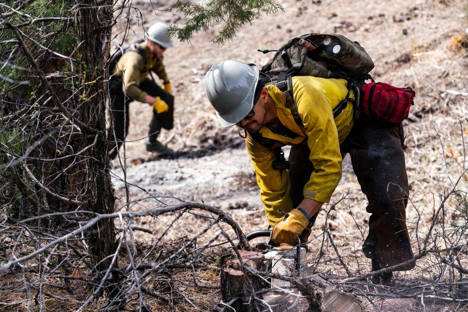 Loren Collins saw off a shrub at wildfire training in Glen Haven, Colo., on Tuesday, May 2, 2023. The Larimer County Initial Attack Module has been conducting wildfire training, including creating fire lines.