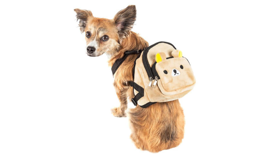 A pup needs accessories too! (Photo: HSN)