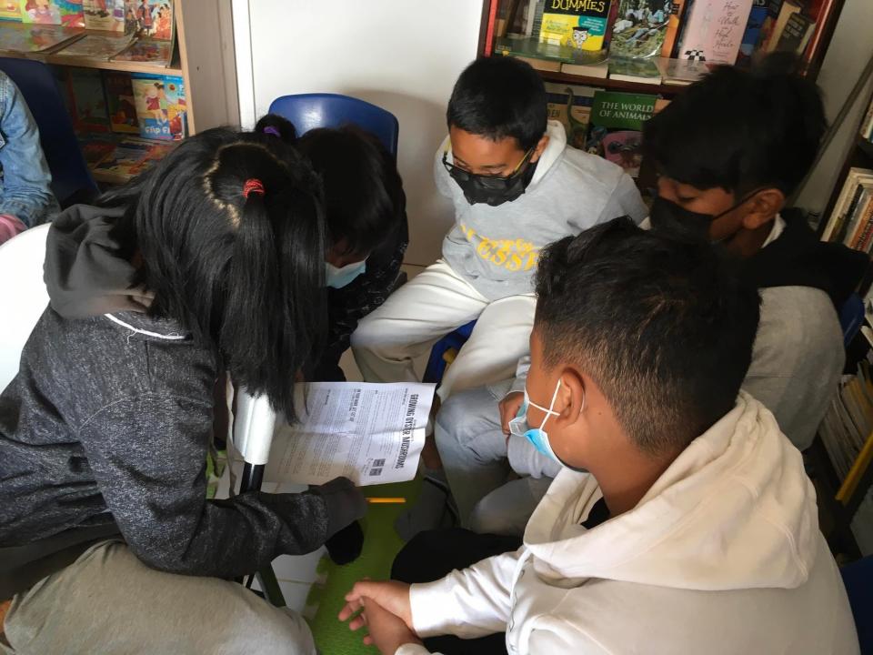 Students at Eagles Wings Montessori School in Madagascar learn about growing mushrooms. The Mushroom Conservatory has partnered with the school.