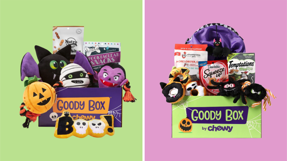 Halloween gifts and gift baskets: Chewy Goody Box