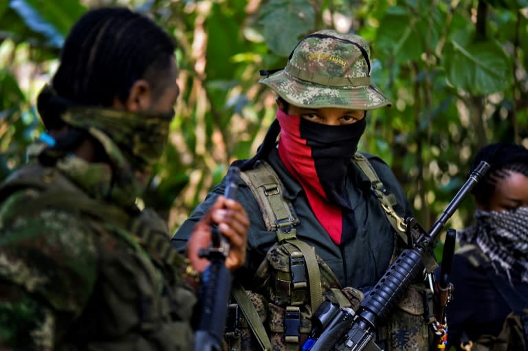 The FARC and ELN formed in 1964 to fight for land rights and protection of poor rural communities in Colombia