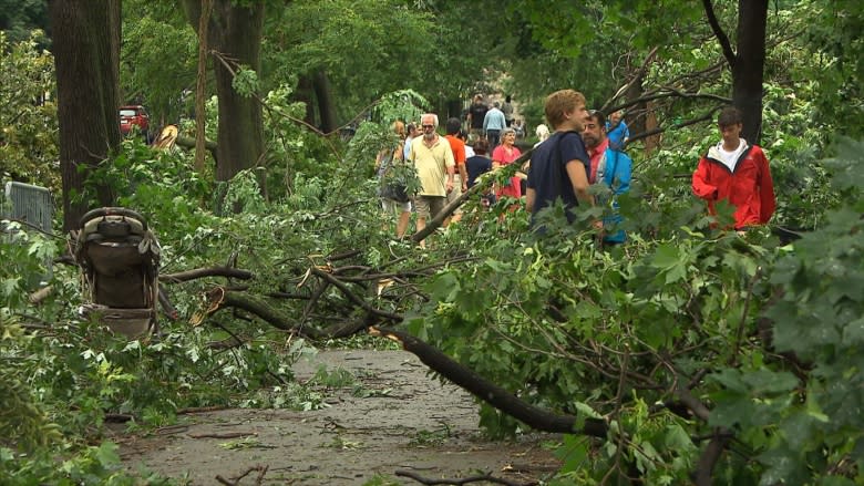 Cleanup underway in NDG after intense storm inflicts significant damage