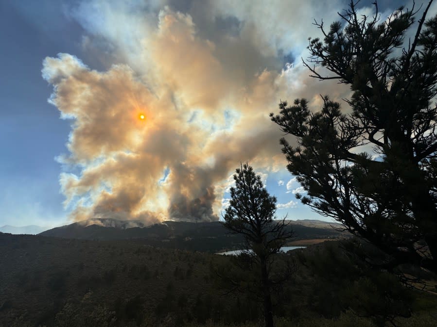 The Alexander Mountain Fire burning in Larimer County on July 29, 2024.