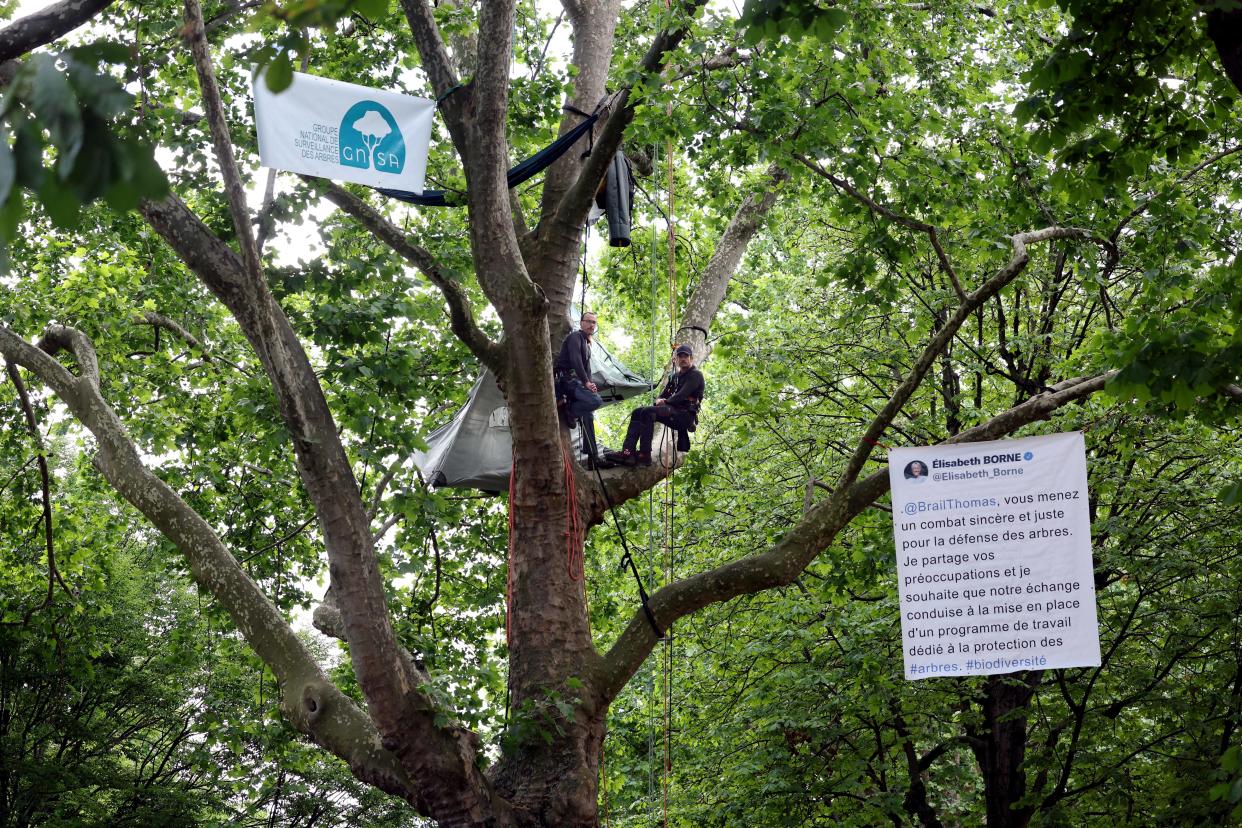  Pour s’opposer à l’autoroute A69 entre Toulouse et Castres, le militant Thomas Brail et des dizaines d’autres du « Groupe National de Surveillance des Arbres » sont arrivés, ce jeudi 14 septembre, à Paris. (Photo du collectif le 31 mai 2022).