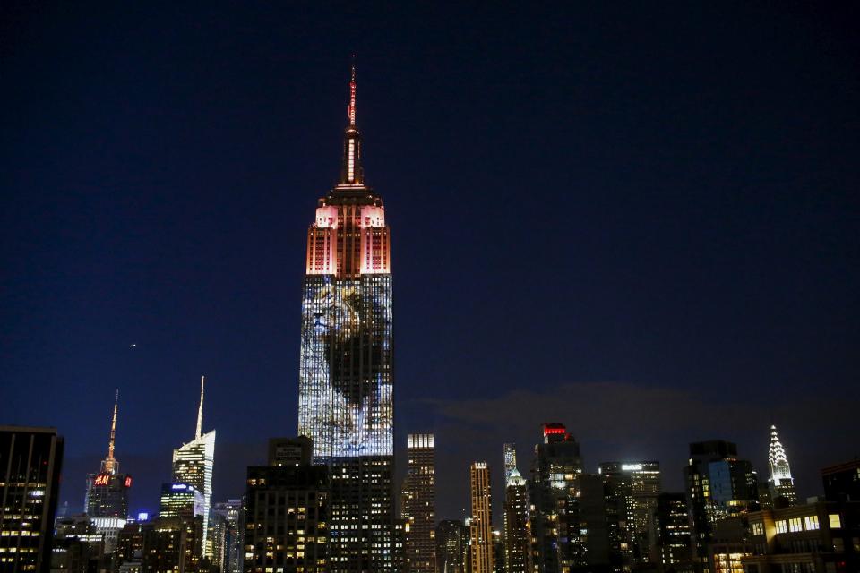 An image of Cecil the lion is projected onto the Empire State Building as part of an endangered species projection to raise awareness, in New York August 1, 2015. (REUTERS/Eduardo Munoz)