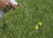 <body> <p>Killing weeds in fall delays their appearance in spring, which can help you work one step ahead of them all season. Mix up a homemade concoction to vanquish these pestersome plants—vinegar and salt make for a wonderful <a rel="nofollow noopener" href=" http://www.bobvila.com/slideshow/7-weirdly-effective-ways-to-weed-49088?bv=yahoo" target="_blank" data-ylk="slk:weed-killer;elm:context_link;itc:0;sec:content-canvas" class="link ">weed-killer</a>. Dilute a cup of table salt in a gallon of vinegar. Then, pour the mixture into a spray bottle and spritz offending weeds to get a fresh start this spring.</p> <p><strong>Related: <a rel="nofollow noopener" href=" http://www.bobvila.com/slideshow/wage-war-on-weeds-with-7-unbeatable-tools-49104?bv=yahoo" target="_blank" data-ylk="slk:Wage War on Weeds with 7 Unbeatable Tools;elm:context_link;itc:0;sec:content-canvas" class="link ">Wage War on Weeds with 7 Unbeatable Tools</a> </strong> </p> </body>