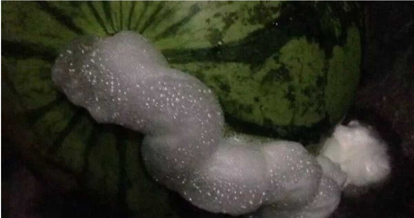 圖為西瓜吐出白色泡泡示意圖。（圖／翻攝自網路）