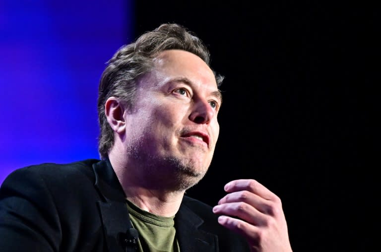 Elon Musk en una conferencia en Los Ángeles el 6 de mayo de 2024 (Frederic J. BROWN)