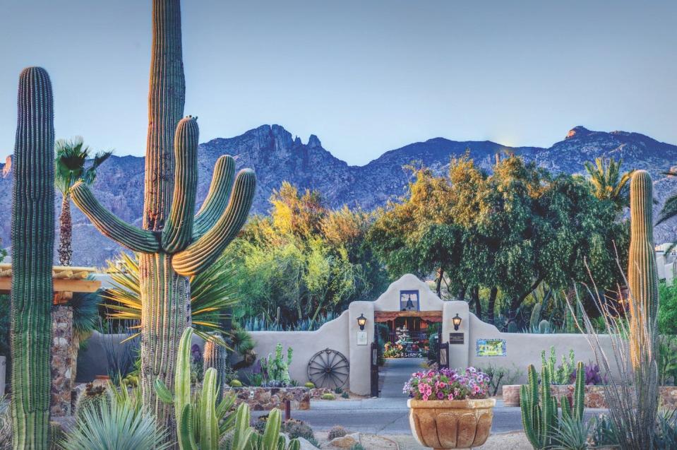 Dating to the late 1920s, Hacienda del Sol offers a gracious and romantic escape in the desert foothills of Tucson.