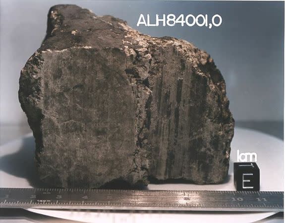 Martian meteorite ALH84001. The meteorite is sliced to show its interior. Found in the Allan Hills ice field in Antarctica in 1984, the four-billion-year-old rock is one of the oldest in the world. The meteorite likely originated just below the