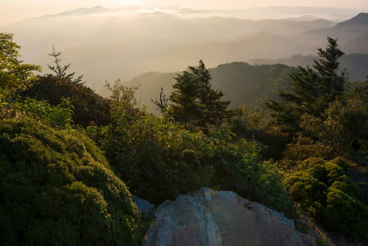 Sunrise from Myrtle Point on Mt LeConte