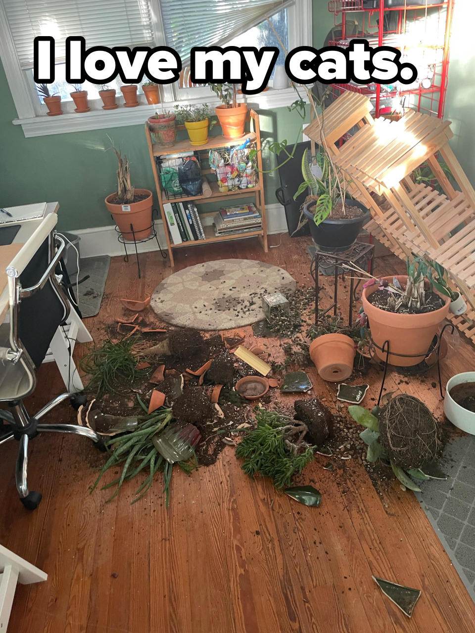 An array of house plants and their spilled soil all over a wood floor, with the caption "I love my cats"