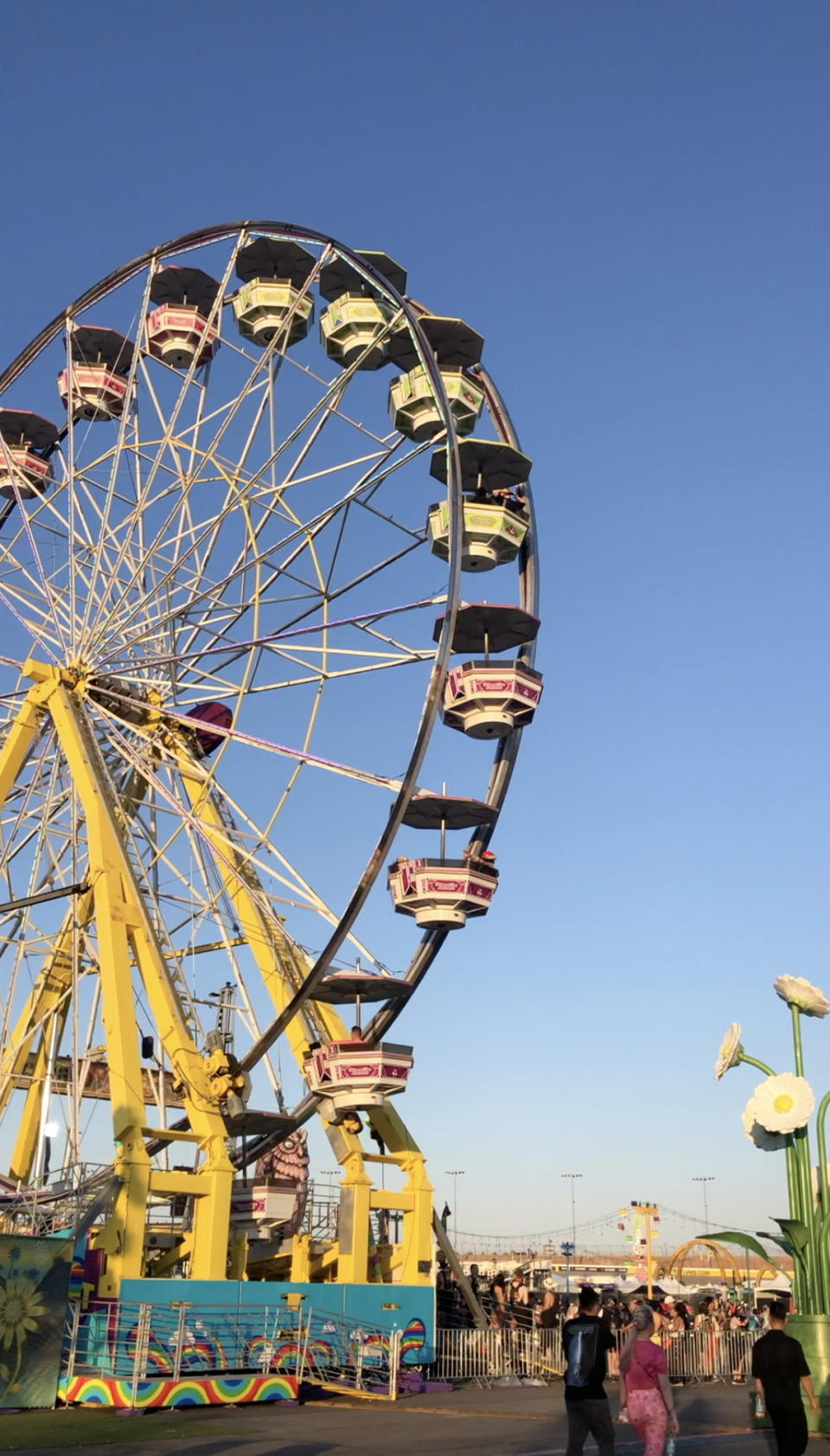 Ferris wheel with colorful cabins at an amusement park, people walking and large daisy decorations in the background. Clear blue sky above