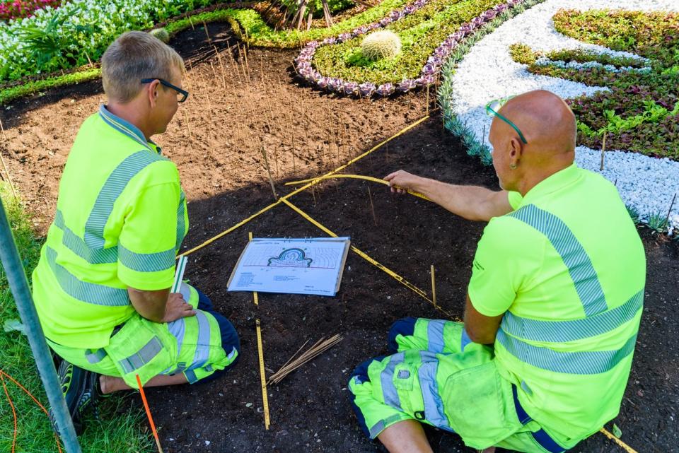 Two people in safety shirts and vests examine a plot of land. 