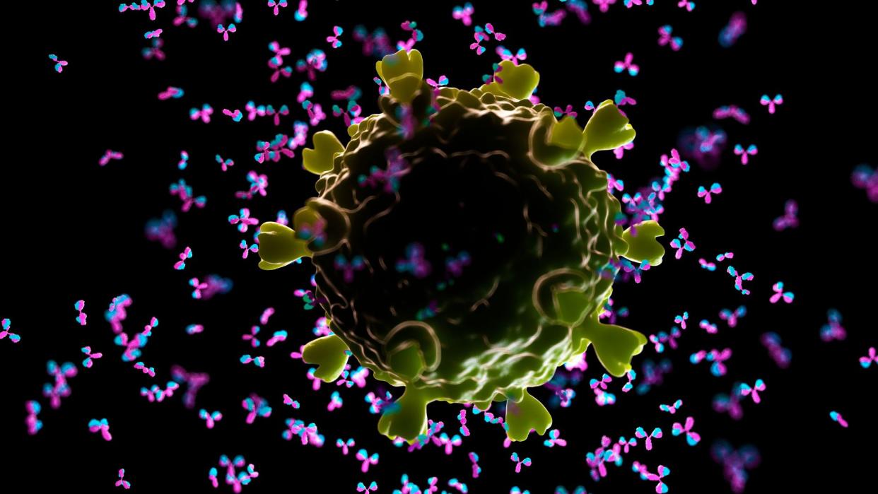  Illustration of an HIV virus particule being swarmed by y-shaped antibodies. 