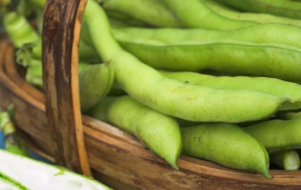 ‘Aquadulce’ beans are one of the most popular varieties for autumn sowing - GAP Photos/Gary Smith