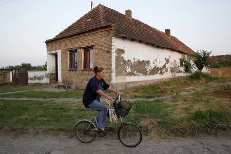Milica Milkovic, a packaging worker with Serbian farming company Agroziv, cycles to work in her village of Srpski Itebej July 7, 2014. REUTERS/Djordje Kojadinovic