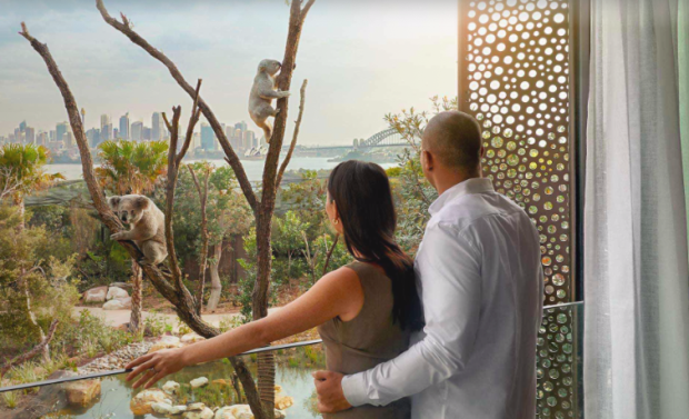 <p>Wildlife Retreat at Taronga</p><p>Couples that have a shared love for wildlife will enjoy this eco-retreat. Make the <a href="https://go.skimresources.com?id=113896X1572730&xs=1&url=https%3A%2F%2Fwww.tripadvisor.com%2FHotel_Review-g255060-d19223977-Reviews-Wildlife_Retreat_at_Taronga-Sydney_New_South_Wales.html&sref=https%3A%2F%2Fparade.com%2F908526%2Fkelli-acciardo%2Fpet-friendly-hotels%2F" rel="noopener" target="_blank" data-ylk="slk:Wildlife Retreat at Taronga Zoo;elm:context_link;itc:0;sec:content-canvas" class="link "> Wildlife Retreat at Taronga Zoo</a> your anniversary getaway to create an ever-lasting memory together. Stay with Australia’s unique wildlife to see them up close and personal while giving support to conservation projects across the country.</p>