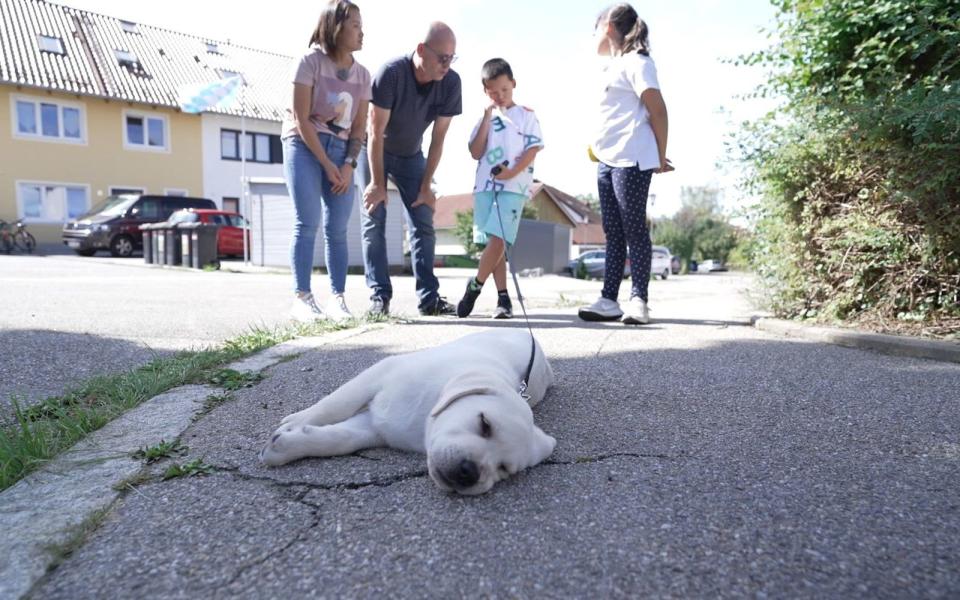 Die fünfte Staffel von 