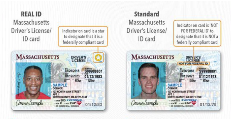 A comparison from the Massachusetts Registry of Motor Vehicles shows the difference between a REAL ID and standard driver's license.