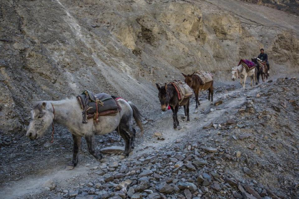 Travel Ladakh India