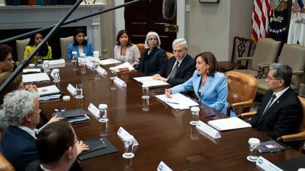 PHOTO: Vice President Kamala Harris speaks during a meeting with a task force on reproductive health care access, in the Roosevelt Room of the White House, April 12, 2023, in Washington. (Evan Vucci/AP)
