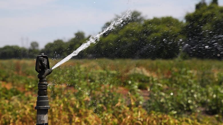 'The damage is done': Farmers worried about this year's crop