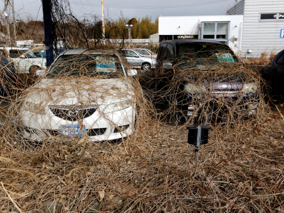 Okuma Fukushima cars.JPG