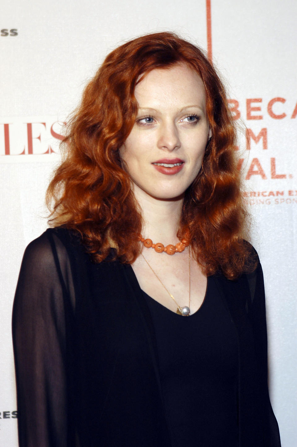 best celeb red hair karen elson