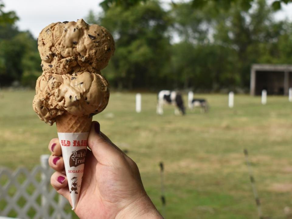 A double scoop of ice cream at Simcock Farm in Swansea.