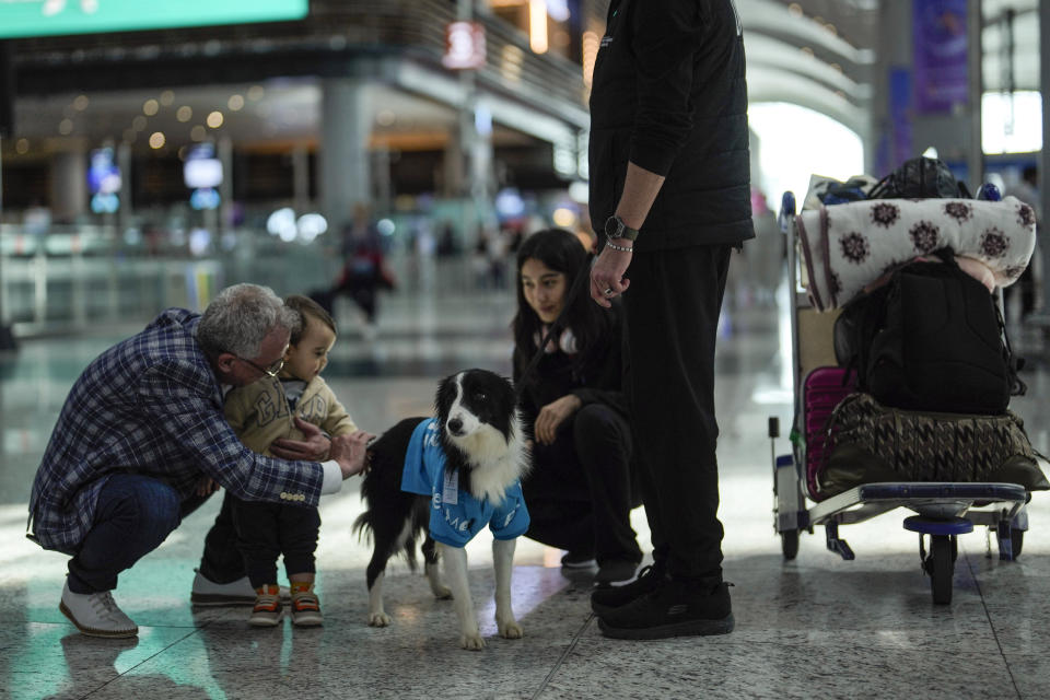 Travellers pet the airport therapy dog Alita while walking with a handler through Istanbul Airport in Turkey, Wednesday, April 3, 2024. Istanbul Airport has made five new hires to provide stress-free travel experience for anxious passengers: therapy dogs that are ready to offer support with snuggles, belly rubs and sloppy kisses. (AP Photo/Khalil Hamra)