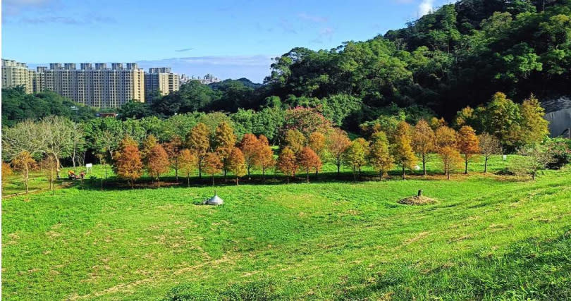 基隆市天外天復育公園現況，為地方居民休憩場所。（圖／基隆市政府提供）