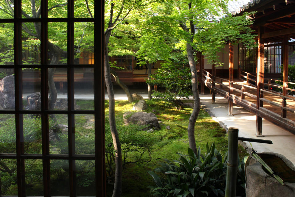 A traditional Japanese garden