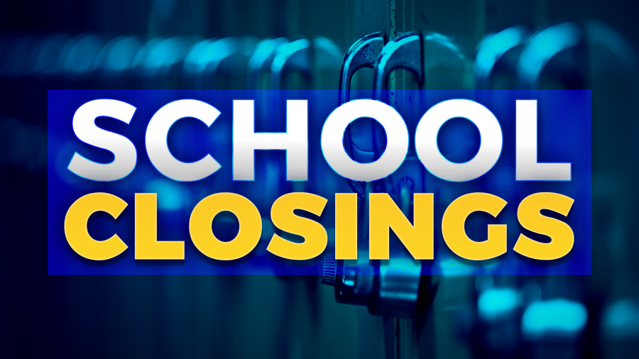 Tennessee School Closings January 1819, 2025