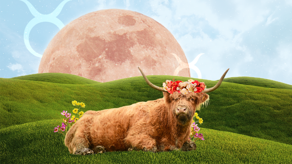How Venus in Taurus Will Affect Each Zodiac Sign (& Improve Your Love Life)