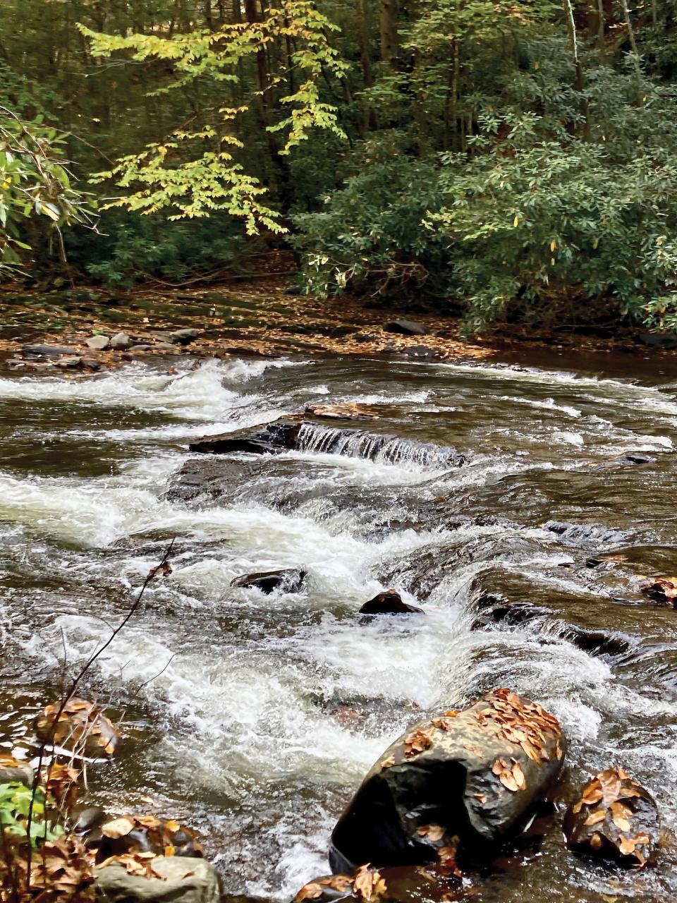 Many low falls like this are found along the path at Rail Gap Pocono Creek Preserve.