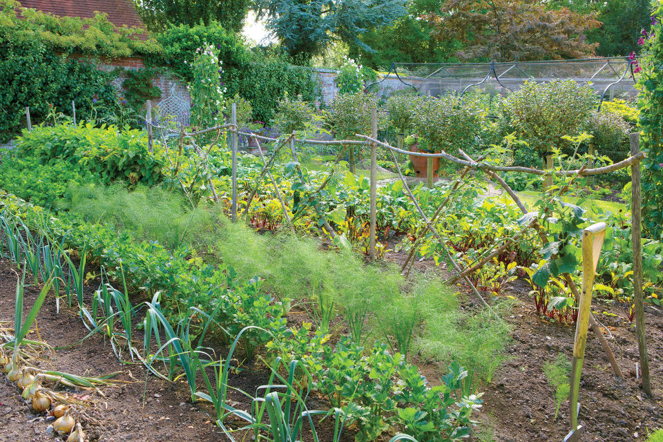 Draw on quintessential vegetable garden ideas to create a productive kitchen garden