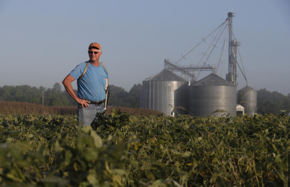 Jack Maloney looks over one of the soybean fields on his Little Ireland Farms in Brownsburg, Ind., Wednesday, Sept. 12, 2018. Maloney, who farms about 2,000 acres in Hendricks Count, said the aid for farmers is "a nice gesture" but what farmers really want is free trade, not government handouts. American farmers will soon begin getting checks from the government as part of a billion-dollar bailout to help those experiencing financial strain from President Donald Trump’s trade disputes with China (AP Photo/Michael Conroy)