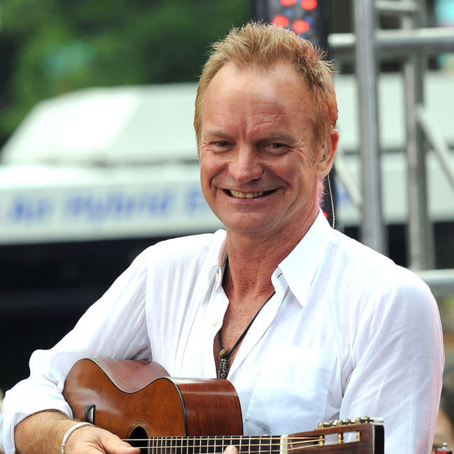 El cantante Sting credit:Bang Showbiz
