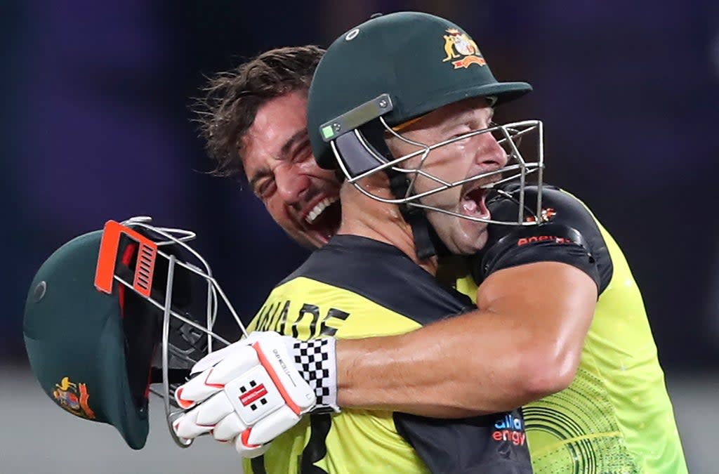 Marcus Stoinis and Matthew Wade inspired Australia to victory over Pakistan (AP)