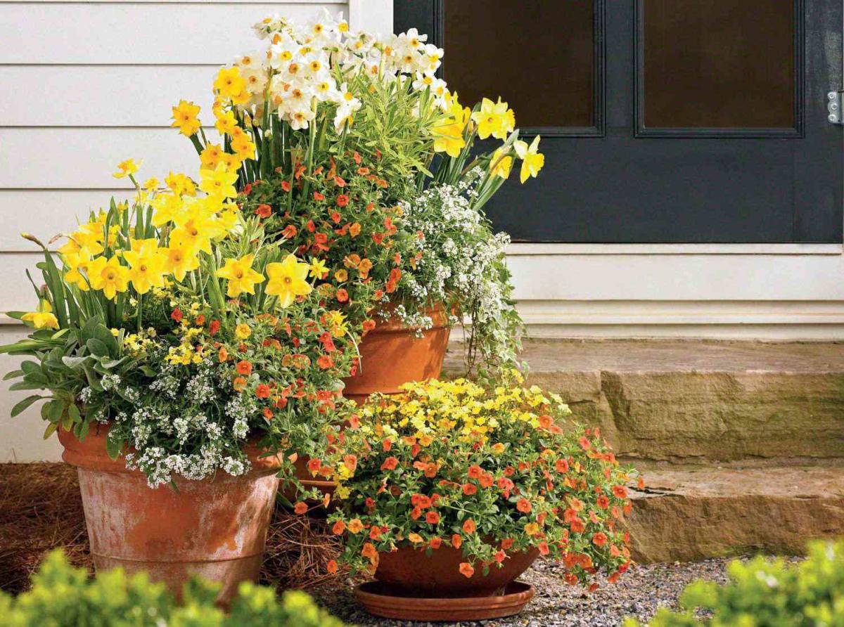 Calypso Coral Stone Planters, Beige Coral Flower Pot from United States 