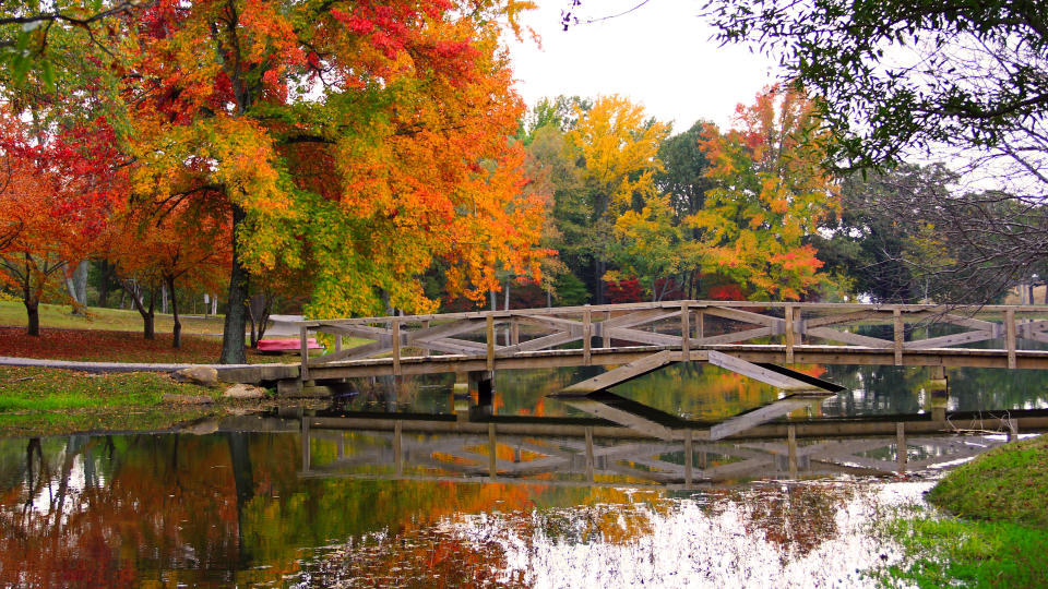 Pond with a Bridge in the Fall in Arkansas - Image.