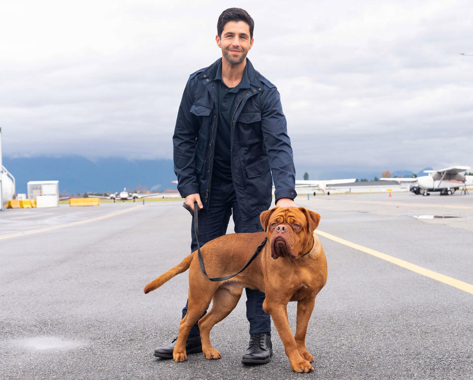 "Dogs force you to get out of your plan and out of your comfort zone, which is really great for a guy like me, who likes to run his scenes in the shower the night before," Josh Peck opened up to Variety in July 2021 about his experience working with five French Mastiffs on the Disney+ revival. "The dogs would certainly pass gas sometimes in the middle of a scene, and usually I could power through it, but I'm not that professional. I'd be like, 'I'm sorry, can we just take a moment and let the air literally clear?'"
