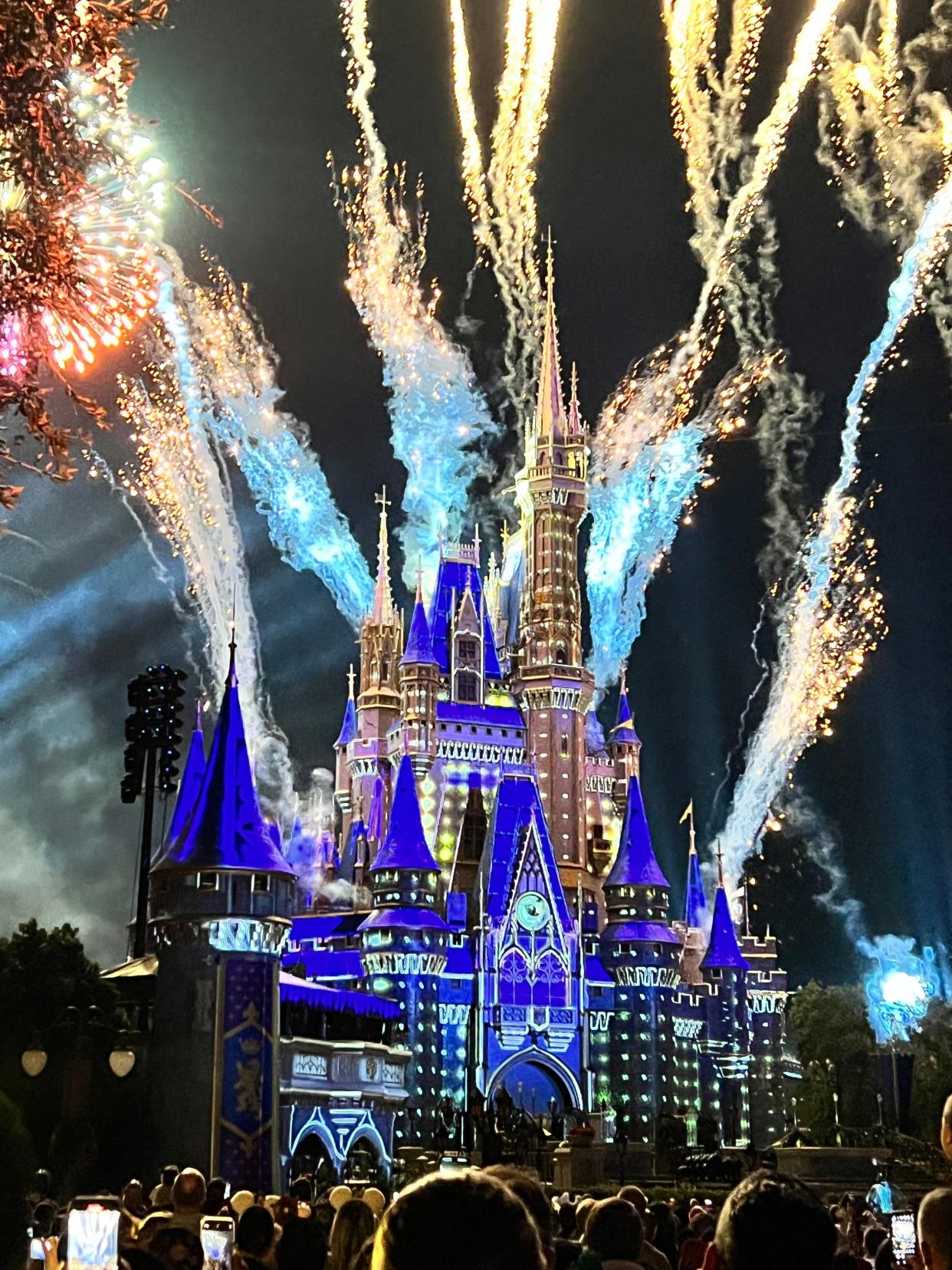 Fireworks illuminate the sky at Walt Disney World's Magic Kingdo on Nov. 9, 2023.