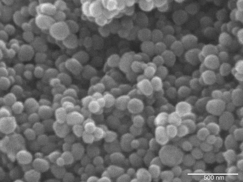 Mesoporous silica under scanning electron microscope